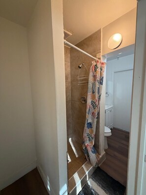 Family Suite | Bathroom | Shower, rainfall showerhead, free toiletries, towels - La Unica (Austin)