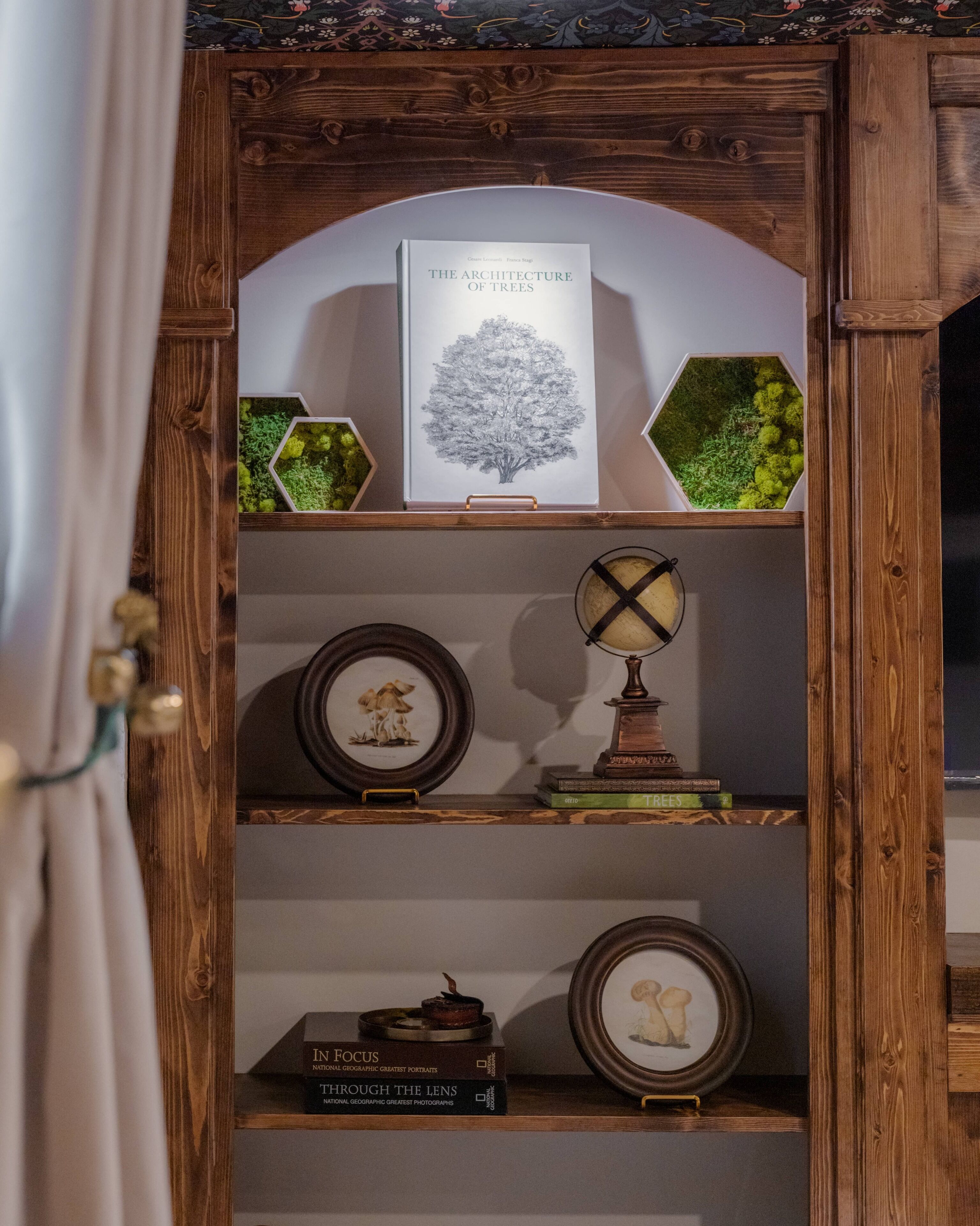 Une vitrine en bois contenant un livre encadré intitulé « L’architecture des arbres » ainsi que divers objets décoratifs, notamment des images et des livres encadrés.