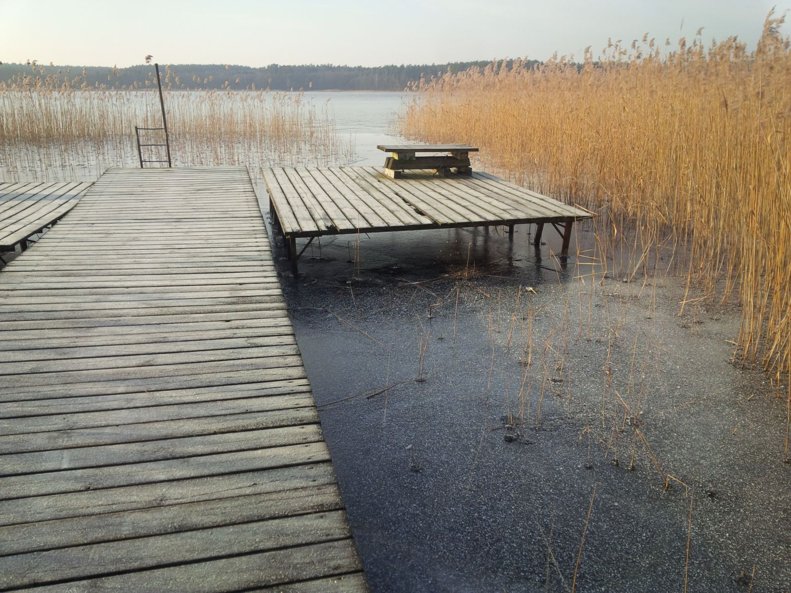 Àrea exterior de l'allotjament