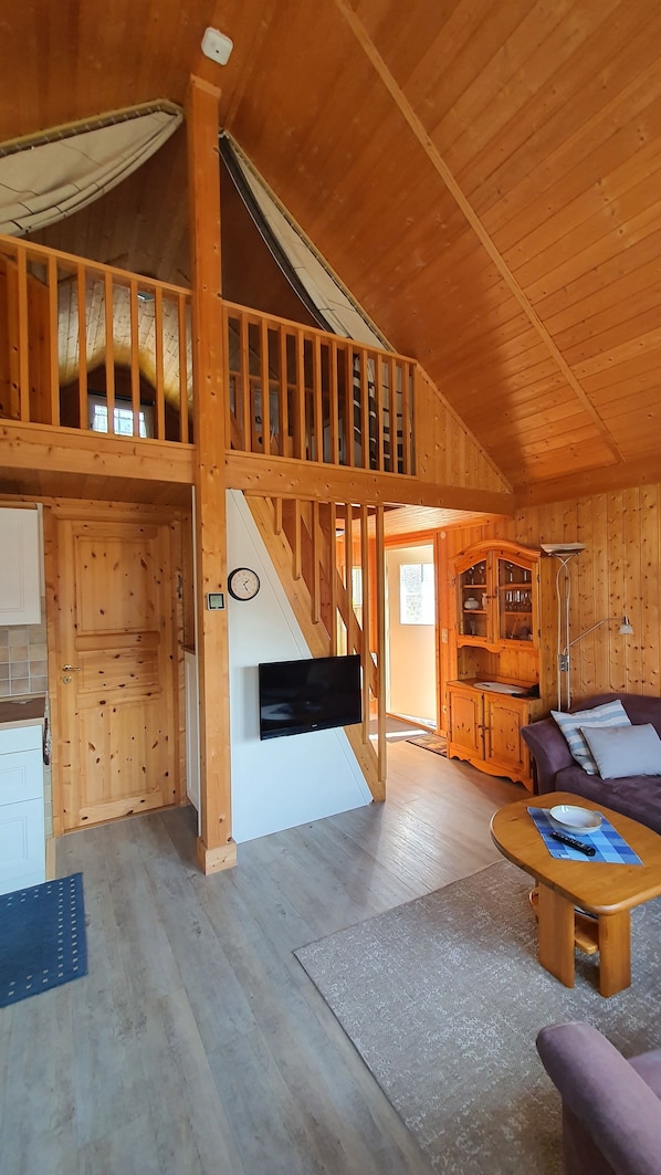 TV, DVD player, ping pong, books