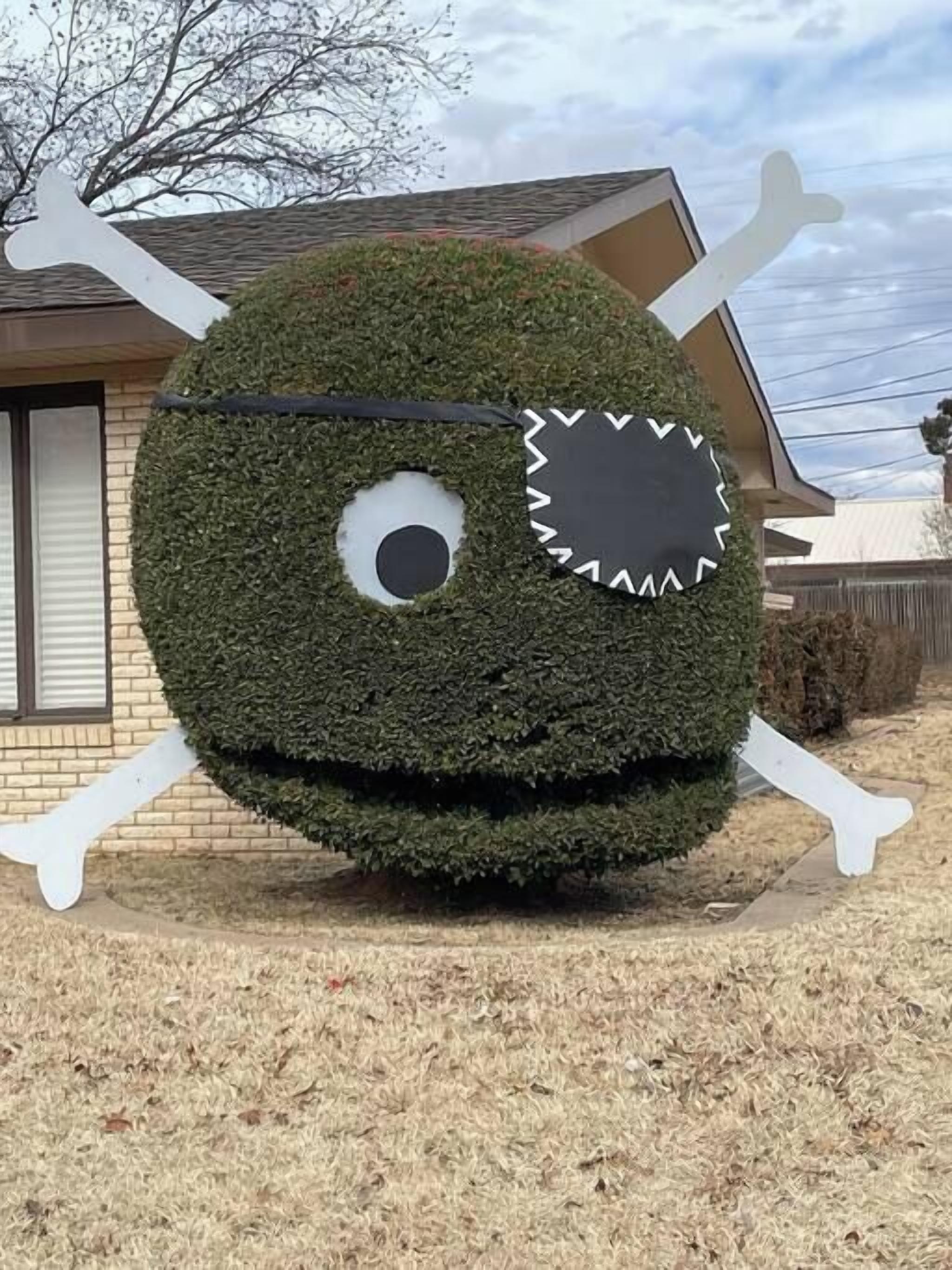 A spherical hedge with a face, a black patch for an eye, and white bone-like structures on either side.