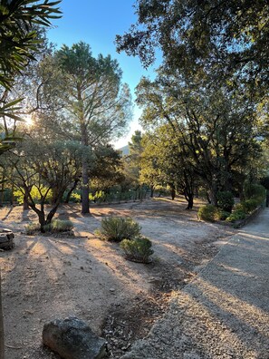 Uma área natural ao ar livre com árvores, um caminho de cascalho e um muro de pedra.