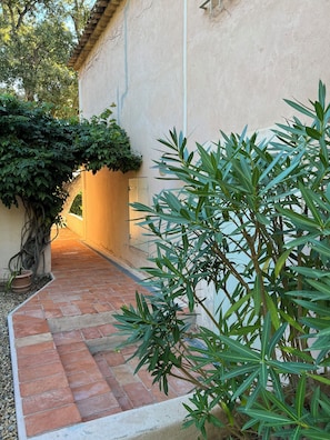 Un patio con un sendero de ladrillo, una planta en maceta y una pared con una puerta.