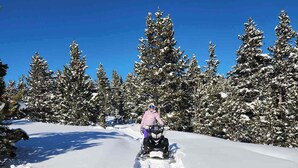 Snø- og skisport