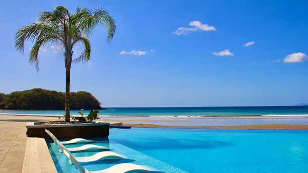 Una piscina con borde ondulado, una palmera y vista a la playa.
