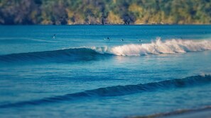 Ranta, jossa on aaltoja ja surffaajia.