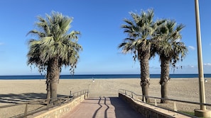 A beach walkway with palm trees and a view of the sea.