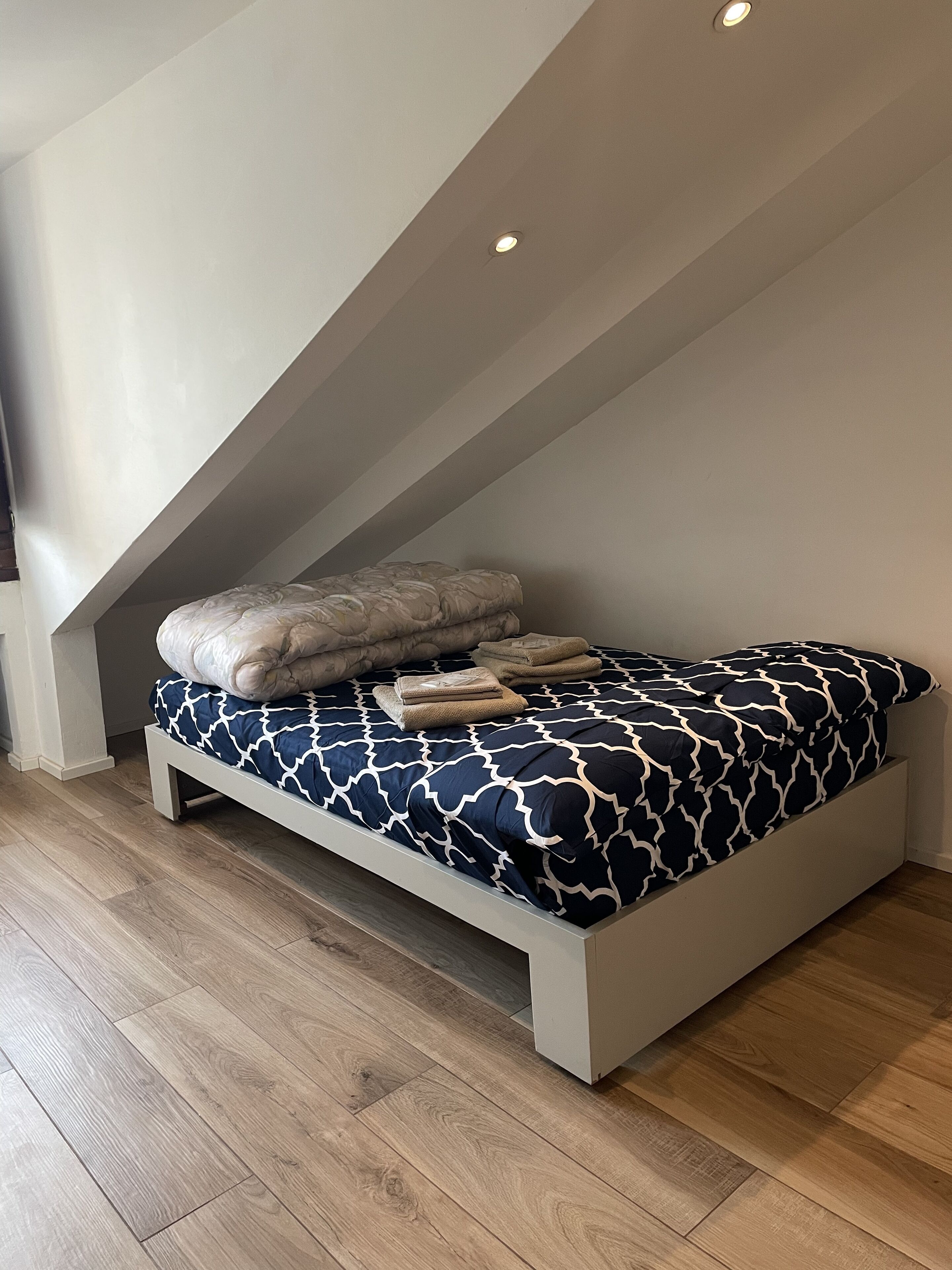 Modern renovated attic in the center