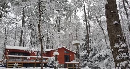 Peaceful, Private Woodland Lot, 9 Minutes to UNC/Downtown Chapel Hill