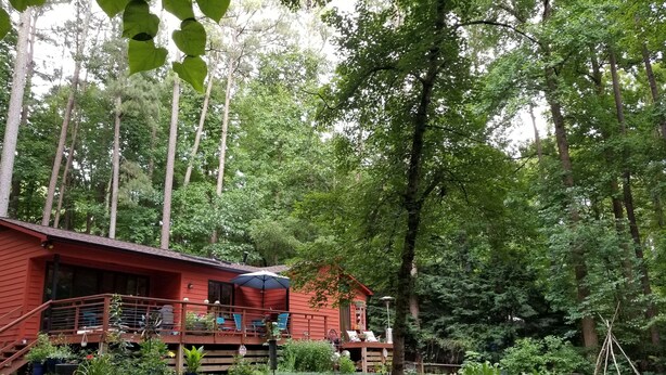 A red cabin with a deck, surrounded by lush greenery and tall trees. - Peaceful, Private Woodland Lot, 5 miles to UNC/Downtown CH. Stay 3 days-3 months (Chapel Hill)