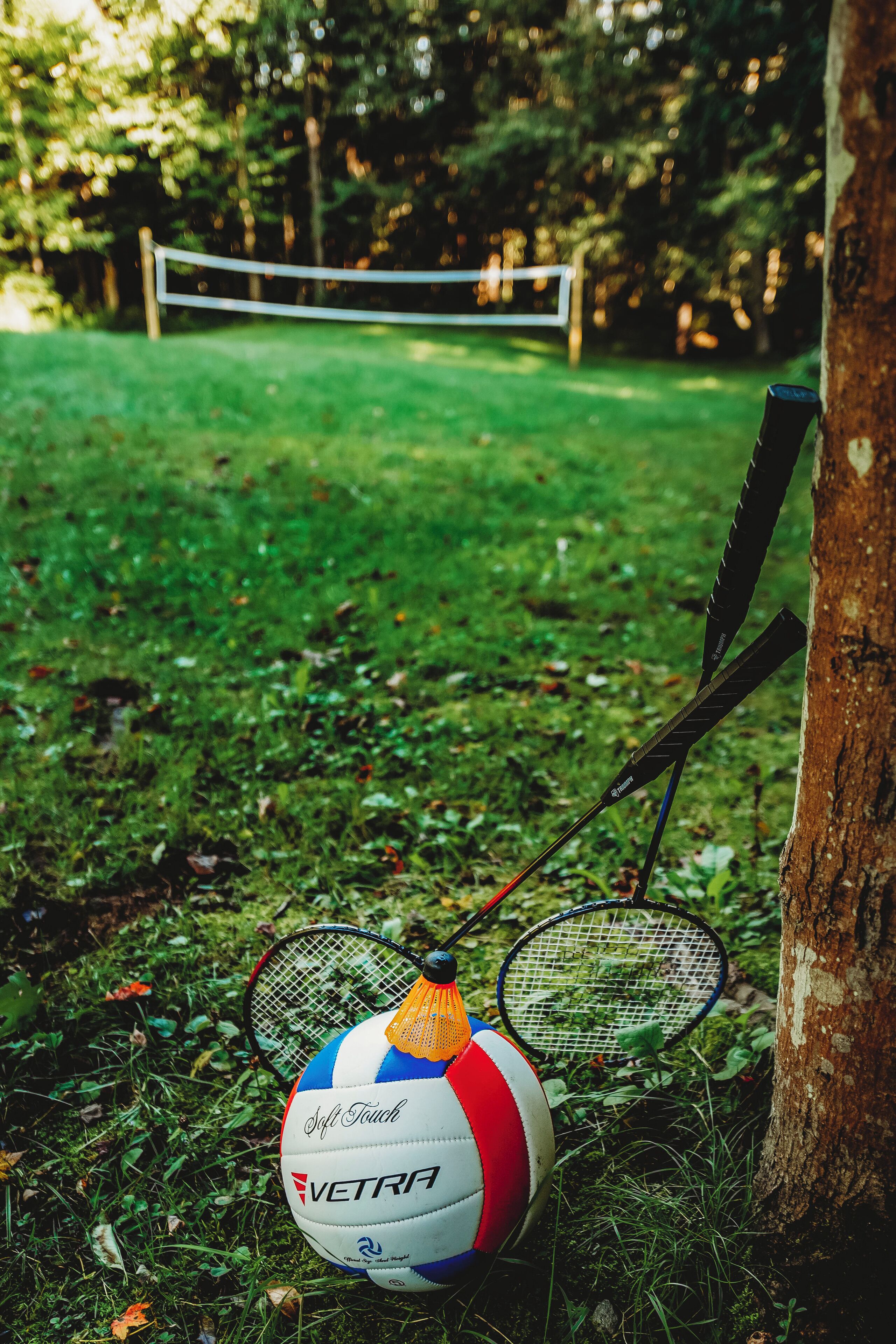 Una pelota de playa con una red y una raqueta sobre césped, un árbol y una red de voleibol al fondo.