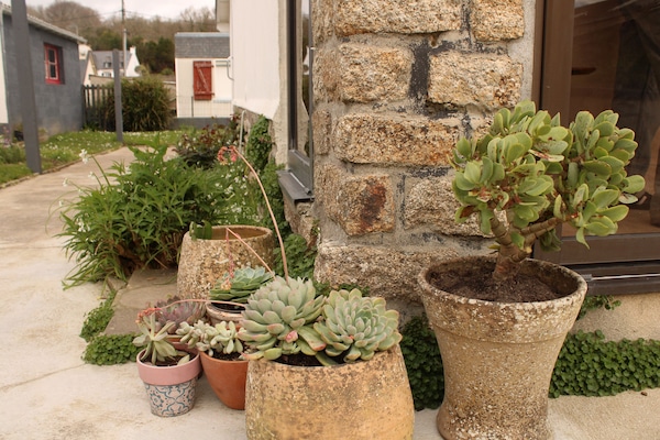 Detalhe da fachada