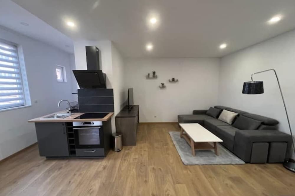 Nice furnished studio renovated