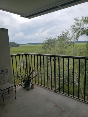 A balcony with a view of a green field and trees. There is a chair and a potted plant on the balcony. - Penthouse Overlooking Tidal salt marshes of Beaufort River Intracoastal Waterway (Beaufort)