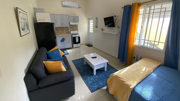 A compact living space with a sofa, a bed, a small kitchen area, and a TV mounted on the wall. - Cozy Studio Apartment in Quiet Neighborhood (Philipsburg)