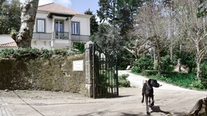 A house with a gated entrance, a paved driveway, and a dog standing in the foreground. - Eighteen21 Houses - Casa da Mula in Quinta Velha (Sintra)