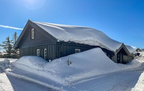 Eksteriør
