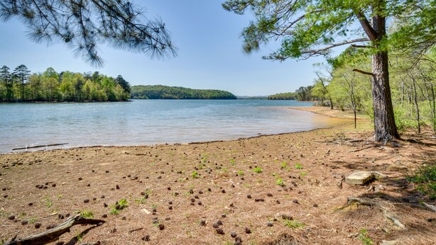 A beach with pine cones, a sandy shore, and a calm lake surrounded by trees. - Walk to Lake Chatuge! Hayesville Cabin w/ Fire Pit (Hayesville)
