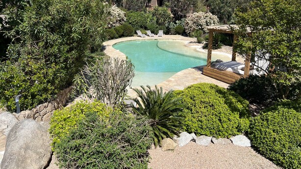 A landscaped garden with a curved pool, surrounded by various plants and trees. - Villa de Luxe, Hyper Centre, Port de Portovecchio (Porto-Vecchio)