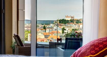 Sky Park Castle Vista in Downtown