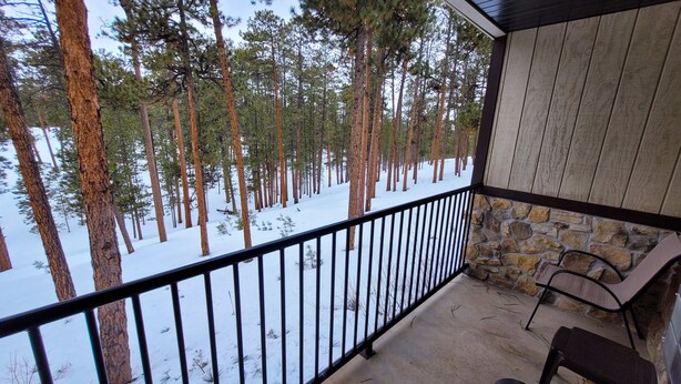 Een overdekt balkon met een stenen muur en metalen hekwerk, met uitzicht op een besneeuwd bos.