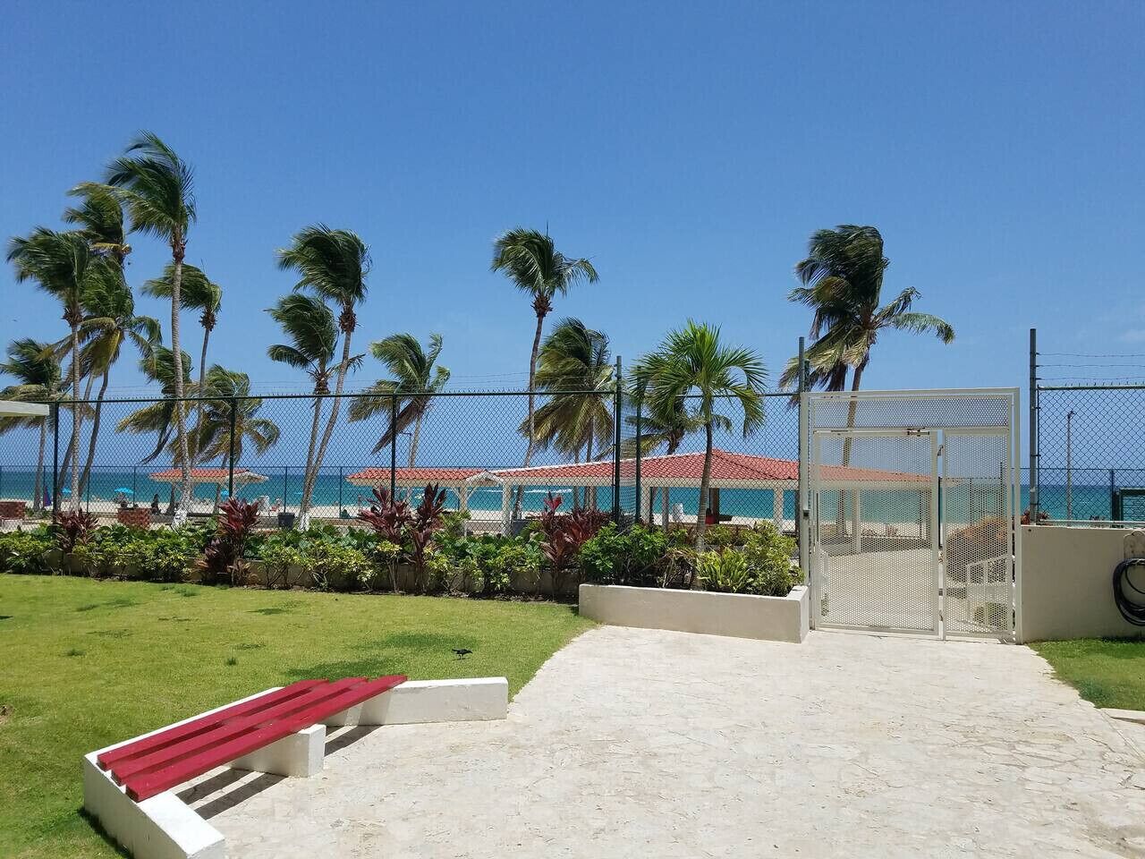 A beachside area with a fenced pool, palm trees, and a view of the ocean.