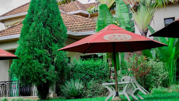 A patio area with outdoor seating, a tall coniferous tree, and a building with a tiled roof in the background.