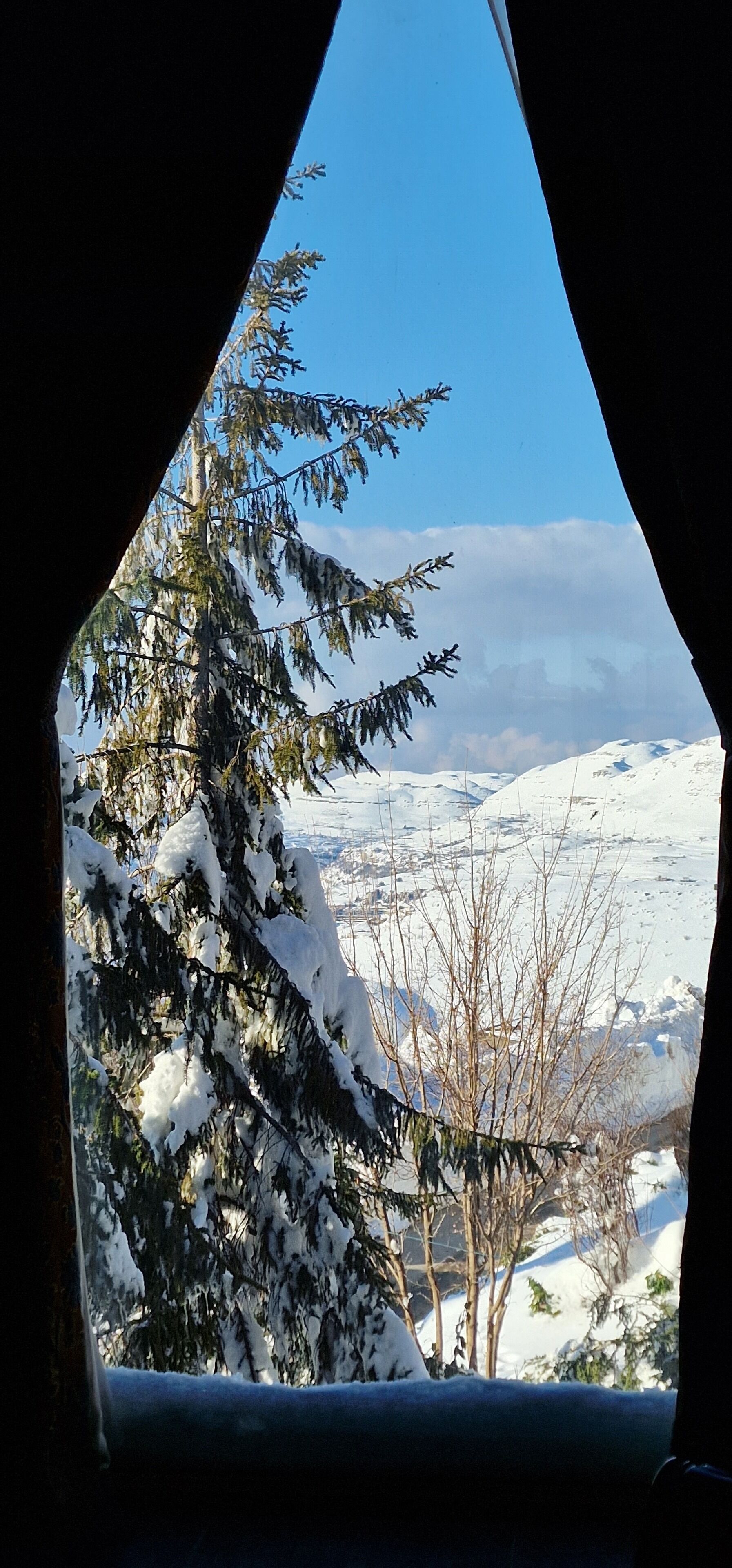 Un paisaje invernal de montañas nevadas visible a través de una ventana, con un abeto cubierto de nieve.