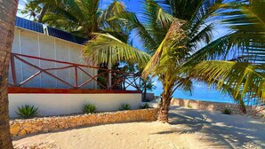 Une propriété située en bord de mer, dotée d’un mur en pierre, de palmiers et offrant une vue dégagée sur l’océan.