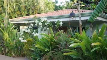 Villa Premium | Vista frontal de la propiedad