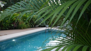 Une piscine entourée d’une végétation luxuriante.