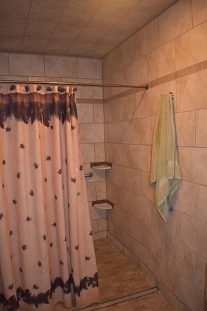 Dusche, Handtücher, Seife, Shampoo