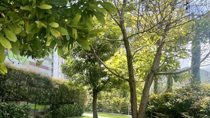 A paved pathway in a park with trees and grass. - Apartment in Ecohousing Phase 2 (Tegucigalpa)