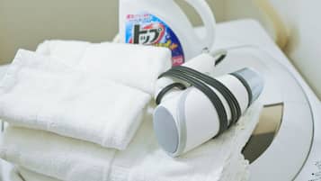 Family Suite | Bathroom | Separate tub and shower, hair dryer, slippers, bidet