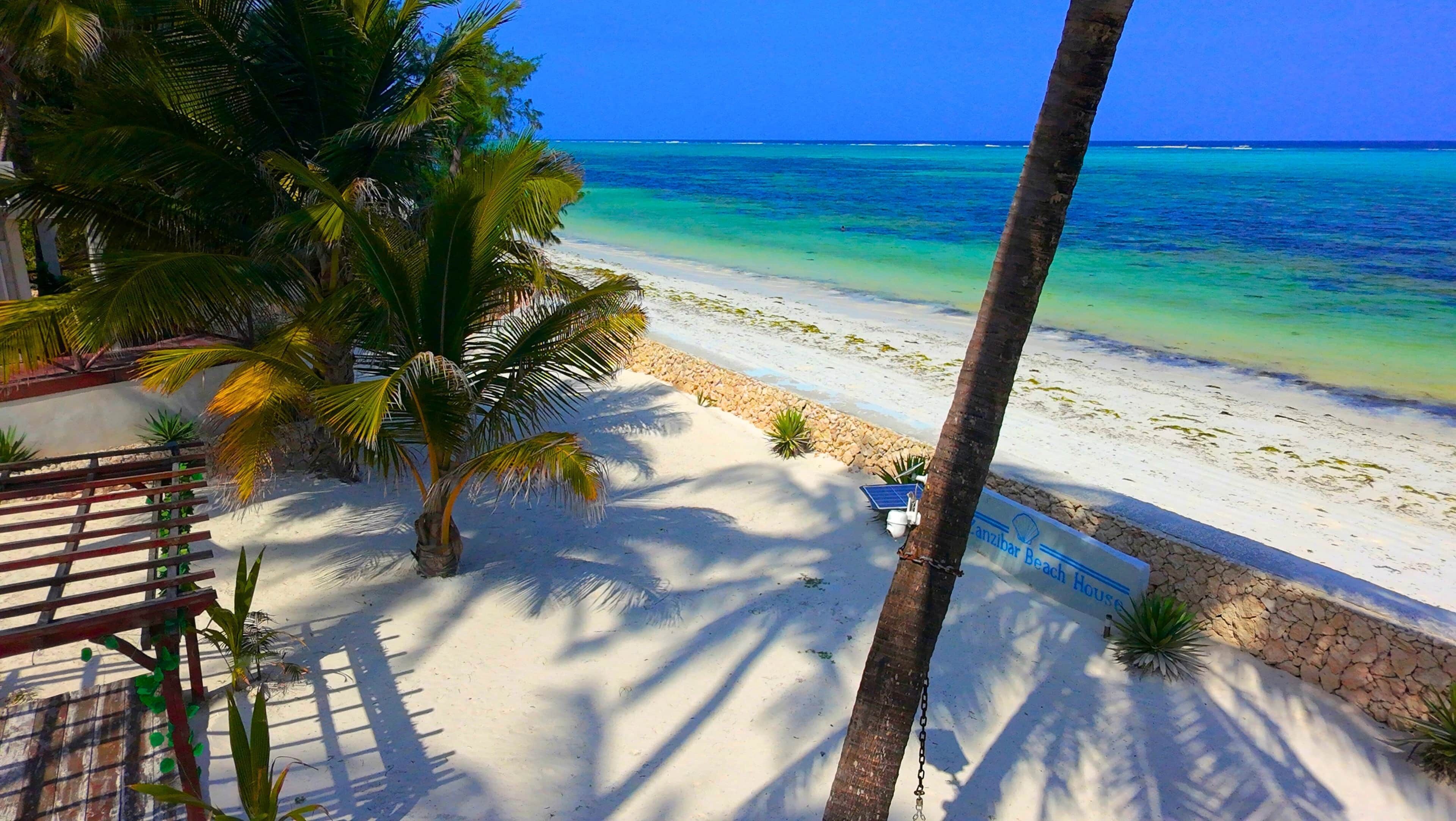 A beach with palm trees, a wooden bench, and a sign for 'Cancun Beach House'.