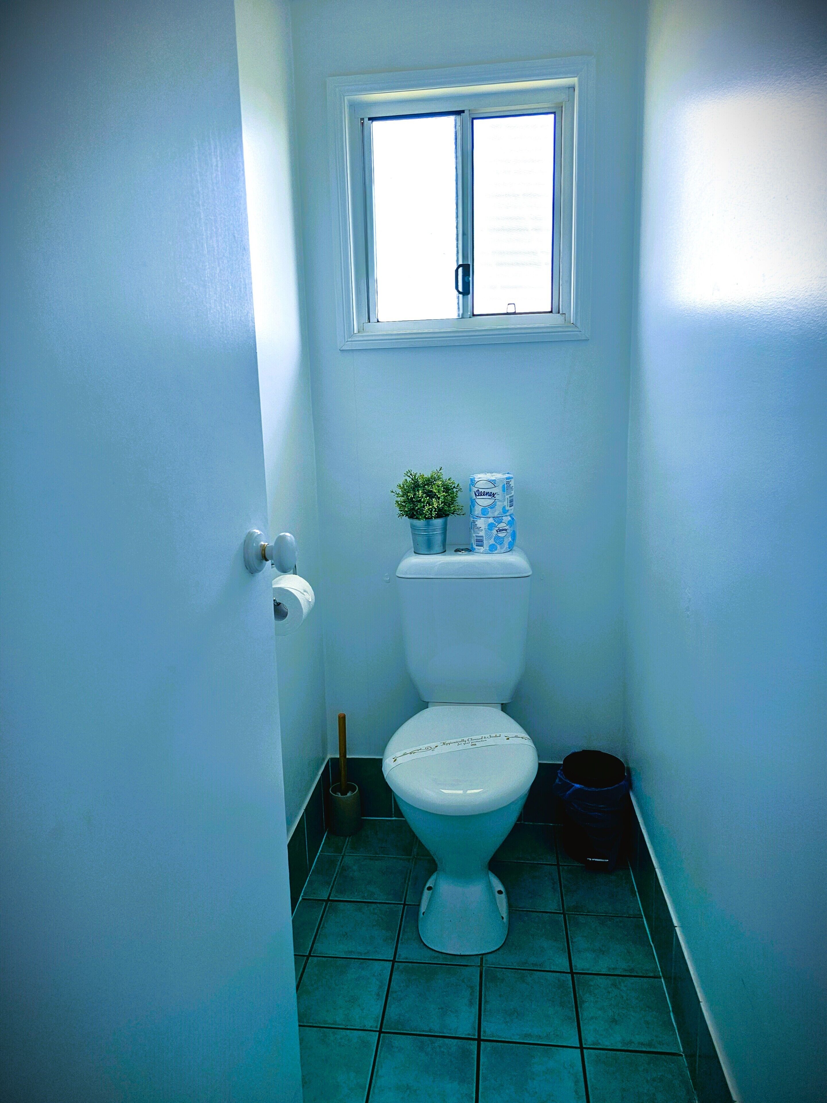 Un bagno piccolo con il water, una finestra, una pianta in vaso e un rotolo di carta igienica.