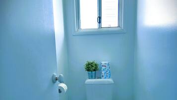 Un bagno piccolo con il water, una finestra, una pianta in vaso e un rotolo di carta igienica.