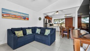 智能電視、書籍