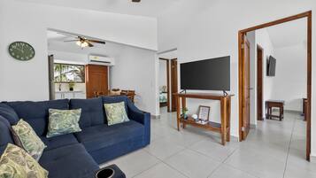 智能電視、書籍