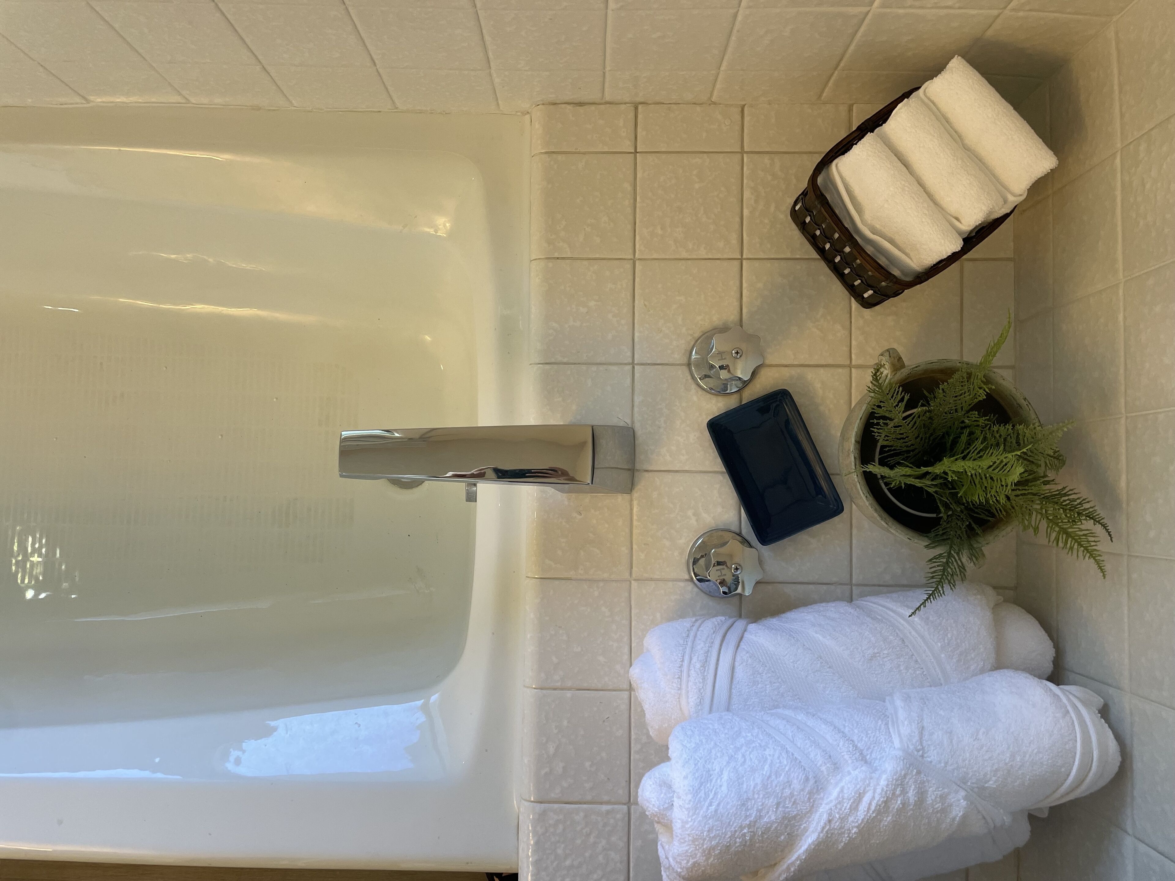 close to St. Anthony Sand Dunes, Yellowstone, Bear World, BYI-I