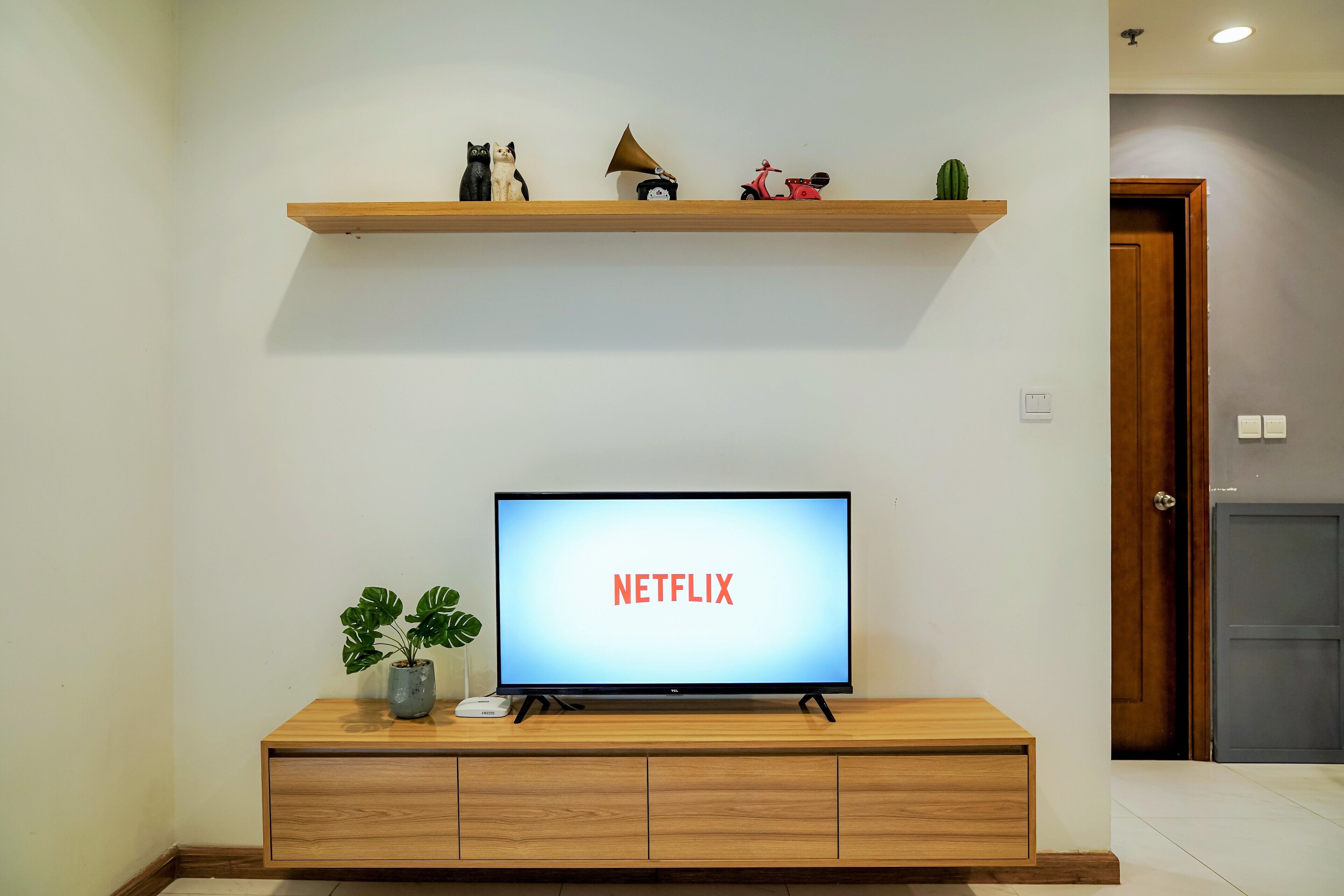A television on a wooden stand with a Netflix logo, a small plant, and a shelf above displaying figurines and a cactus.