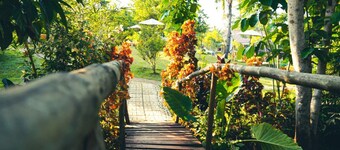 Banlaw Pool & Garden