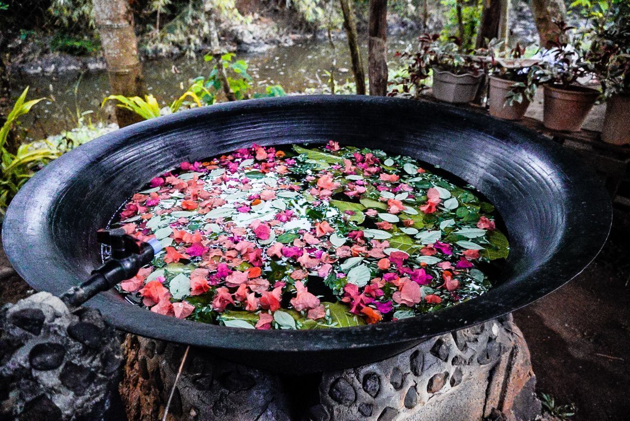 A large black basin filled with water and floating pink and green leaves.