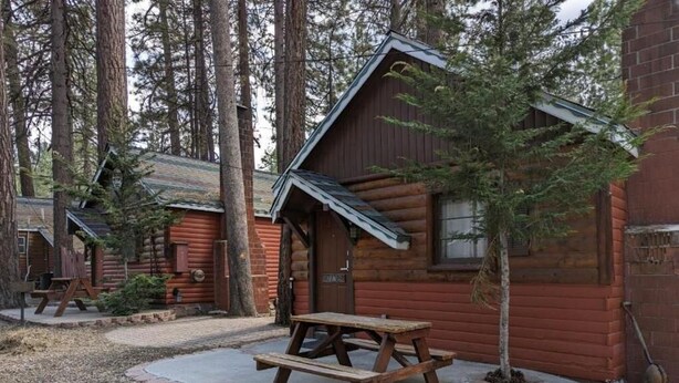 Una cabaña rústica de troncos con una mesa de picnic al frente, rodeada de árboles altos.