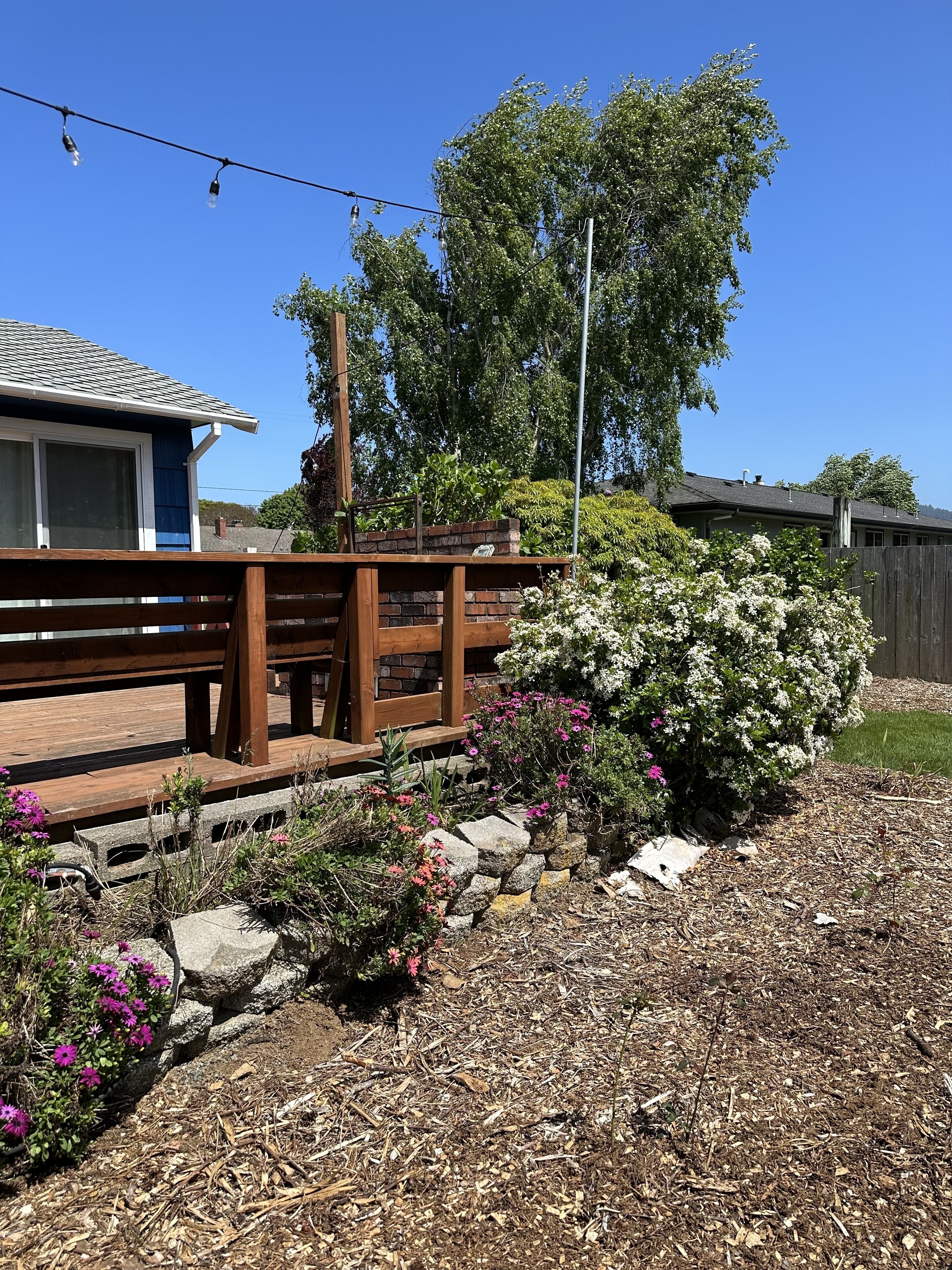 A wooden deck with a stone pathway, surrounded by flowering plants and a backdrop of a residential building.