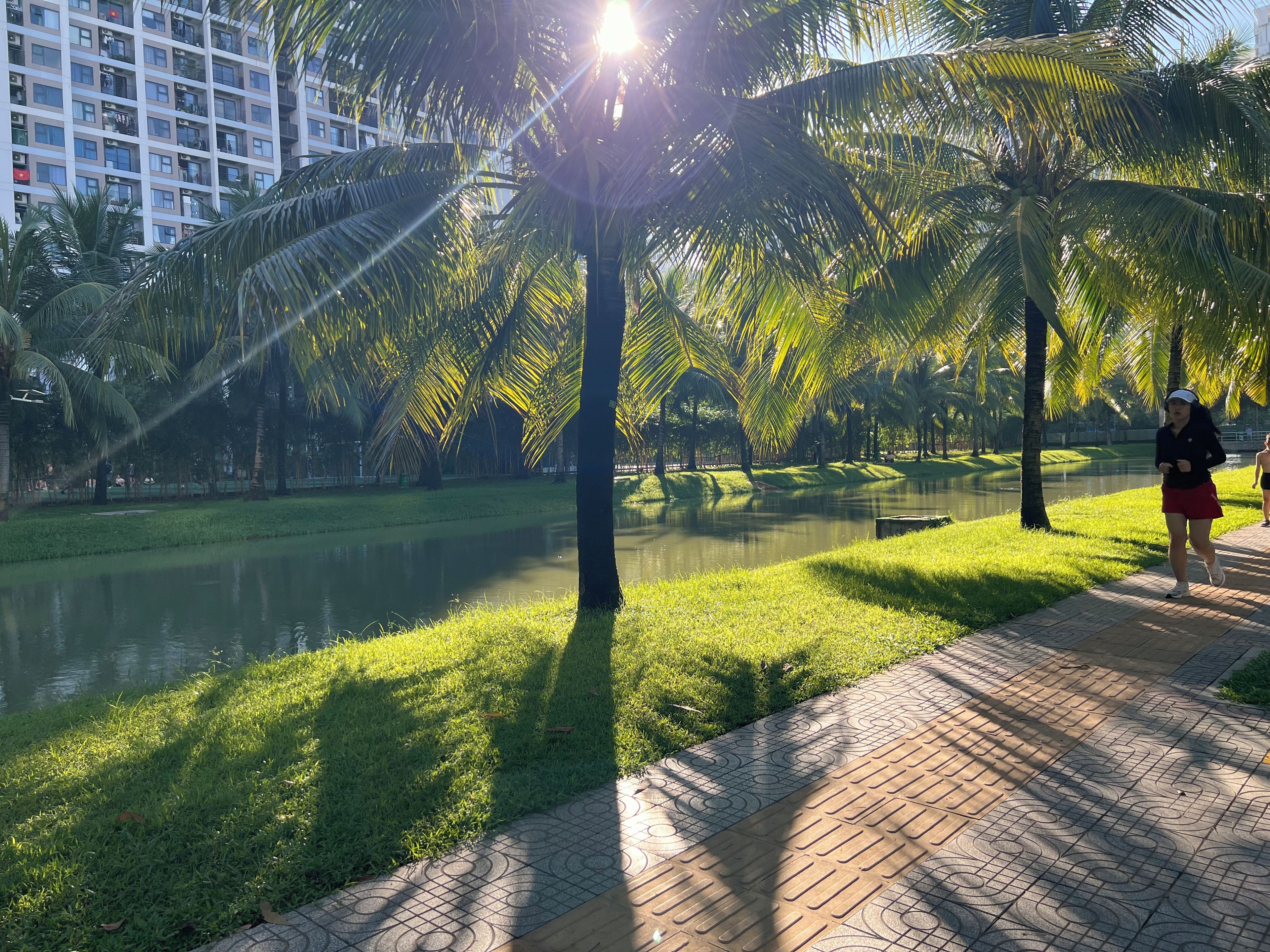 A park with a water body, palm trees, and a paved walkway.