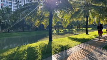 A park with a water body, palm trees, and a paved walkway.