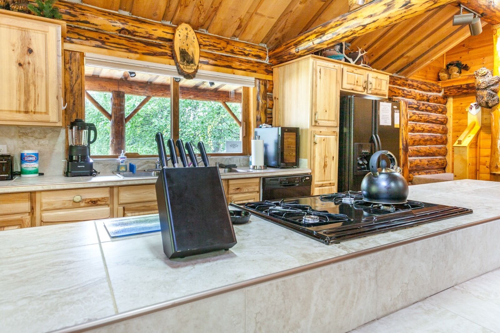 Indian cabin close to Alyeska