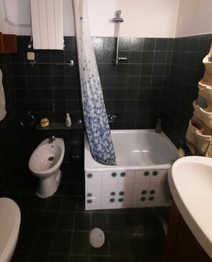 Hair dryer, bidet, towels, soap