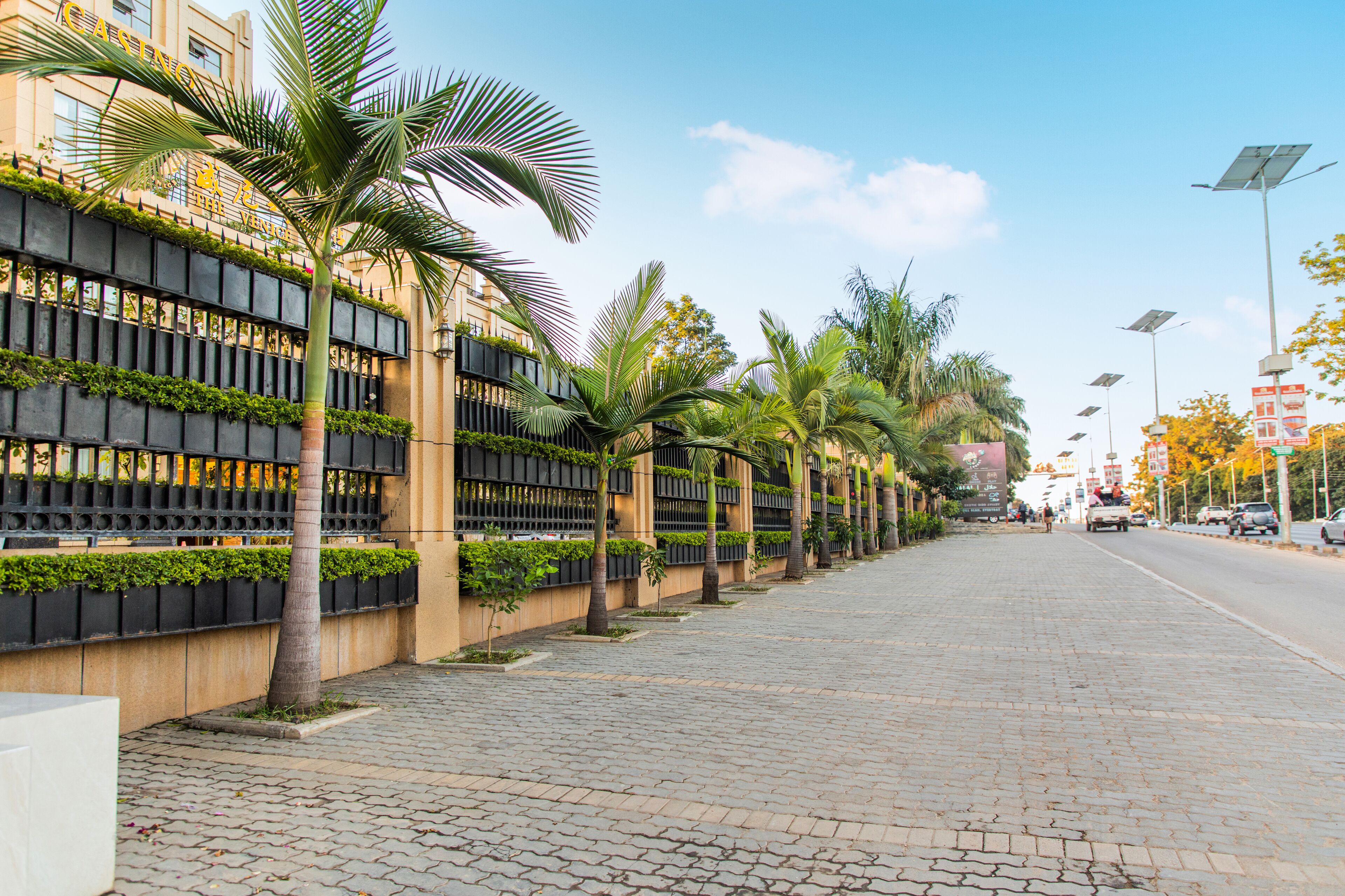 A paved walkway lined with palm trees and a building with a black fence and greenery.